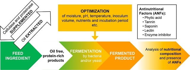 El potencial de la fermentación para el procesamiento de piensos acuícolas 1 La fermentación para optimizar la producción de alimentos acuícolas. Fuente: Siddik et al., (2024); Rev Aquac.