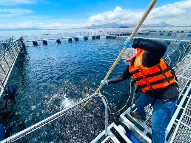 Can tributyrin help trout digest plant-based diets and combat diseases? 1 Trout farming cage. Source: SANIPES
