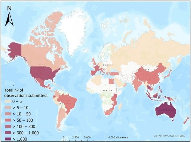 Citizen scientists help uncover the secrets of seahorses with iSeahorse 2 World map with an abundance of iSeahorse observations submitted per country. Source: Camins et al., (2024), Journal of Fish Biology.