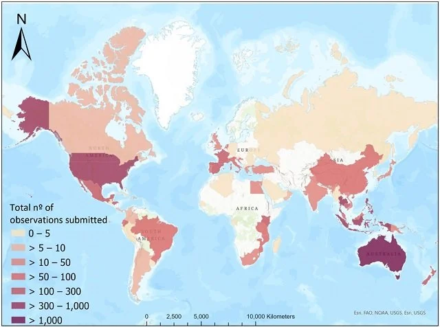 World map with an abundance of iSeahorse observations submitted per country.  Source: Camins et al., (2024), Journal of Fish Biology.
