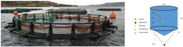 Comportamiento de natación como indicador para optimizar la alimentación de lubinas criadas en jaulas marinas 1 Sitio experimental y ubicación de las cámaras. Fuente: Georgopoulou et al., (2024); Frontiers in Marine Science, 11, 1350385.