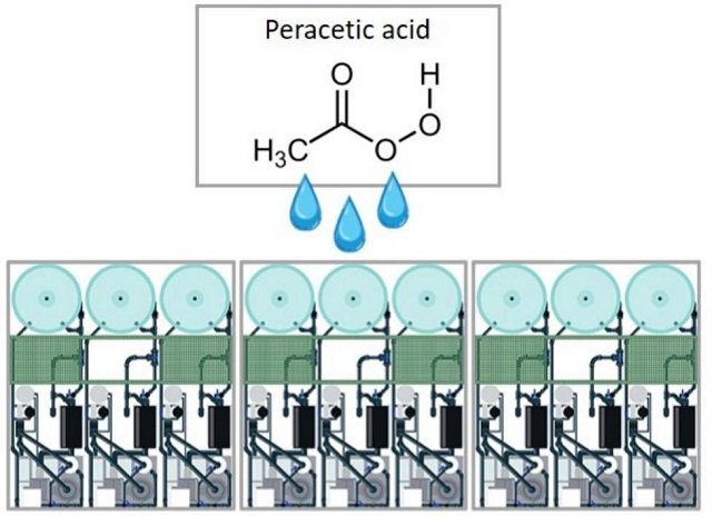 Peracetic Acid: a Safe and Sustainable Disinfectant for Aquaculture acido-peracetico-salmones-ras