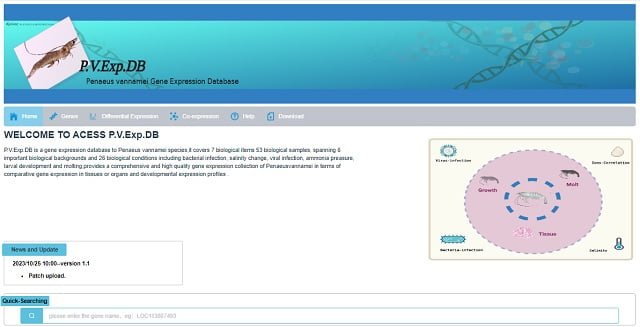 PvGeneExpDB: Base de datos de expresión genética del camarón blanco del Pacífico (Litopenaeus vannamei).