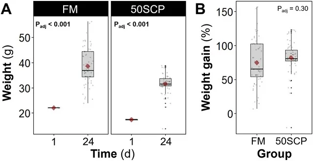 proteina-unicelular-lubina-asiatica
