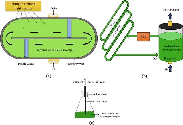 Cultivo de microalgas (a) Estanque de canal abierto (b) Fotobiorreactor tubular (c) Matraz Erlenmeyer. Fuente: Pandey et al., (2024); Fuel, 367.