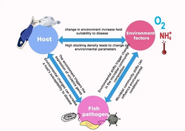 The interactive relationship between environmental factors, microbes, and the host. Source: Abdella et al., (2024); Aquacult Int.