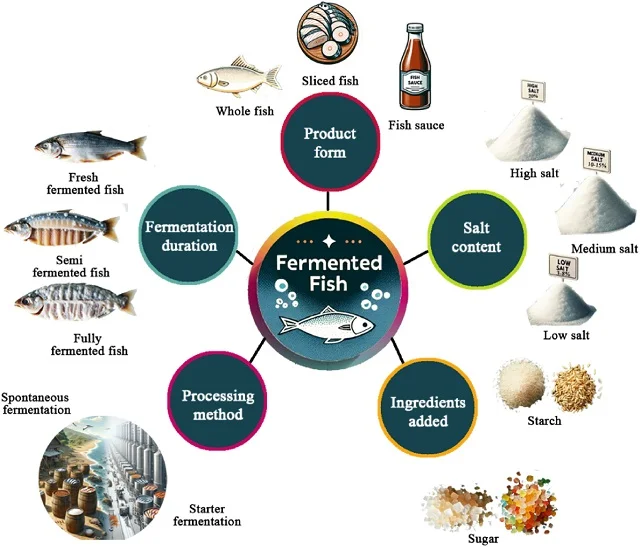 Clasificación del pescado fermentado. Fuente: Cai et al., (2024); Journal of Agriculture and Food Research, 16, 101206.