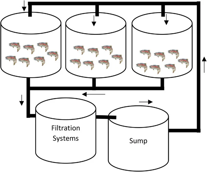Source: : Tunçelli et al., (2024); Veterinary Medicine and Science, 10(3), e1466