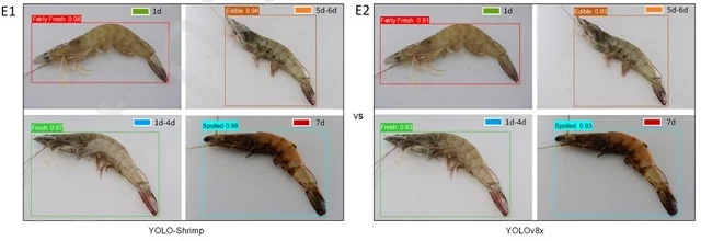 Comparaciones del nivel de detección de las frescuras en los cuerpos de camarones. Fuente: Hou et al., (2024); SSRN.