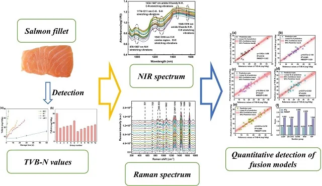 Graphical abstract of the study. Source: Guo et al., (2024); Food Research International, 189, 114564.