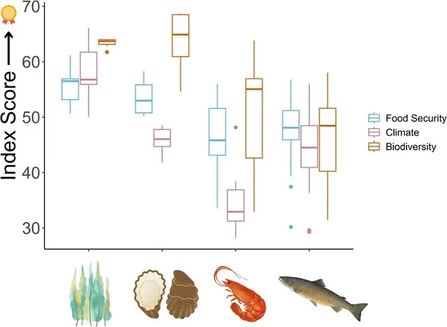 Puntuaciones de seguridad alimentaria, cambio climático y biodiversidad por grupo taxonómico. Fuente: Wong et al., (2024); Npj Ocean Sustainability, 3(1), 1-13.