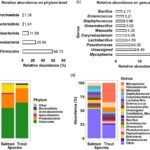 Abundancia relativa de la microbiota intestinal del salmón y la trucha arcoíris. Fuente: Cao et al., (2024); Reviews in Aquaculture.