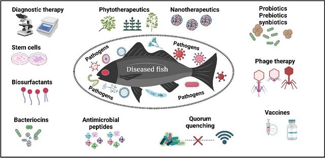 Alternative therapies to control diseases in the aquaculture industry 1 Recent alternative therapies for treating fish diseases. Source: Elgendy et al., (2024); Aquacult Int