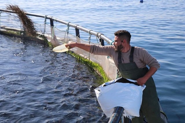 Aquaculture Africa 2024 given a boost as Tunisia government signs the hosting agreement 1 jaula marina alimentacion
