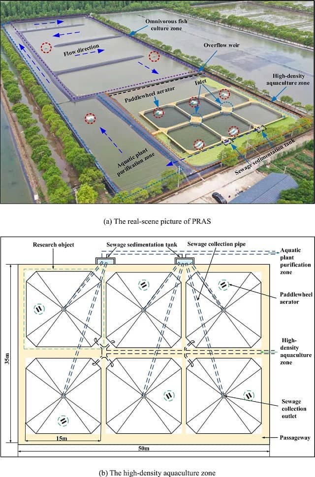 Optimizing hydrodynamics in large-scale recirculating ponds with paddlewheel aerators 1 The partitioned PRAS. Source: Zhang et al., (2025); Aquacultural Engineering, 111, 102569.