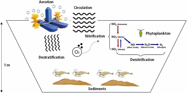 Optimizing aeration in shrimp farming: keys to CFD, IoT, and solar energy 1 Aeration optimization in shrimp farming. Source: Jayraj et al. (2025); Aquacultural Engineering, 102583.
