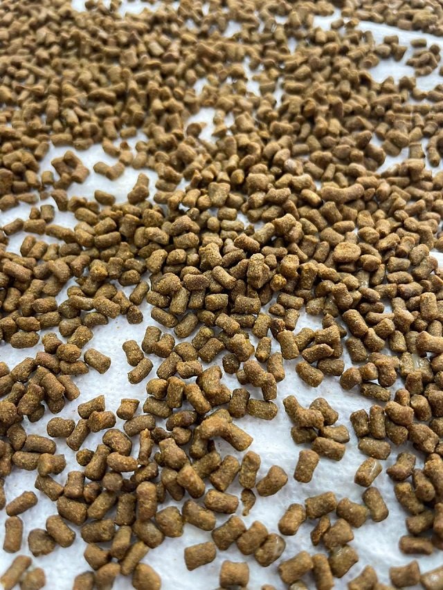 Alimento inoculado con levaduras marinas. Fuente: AquaPacífico.