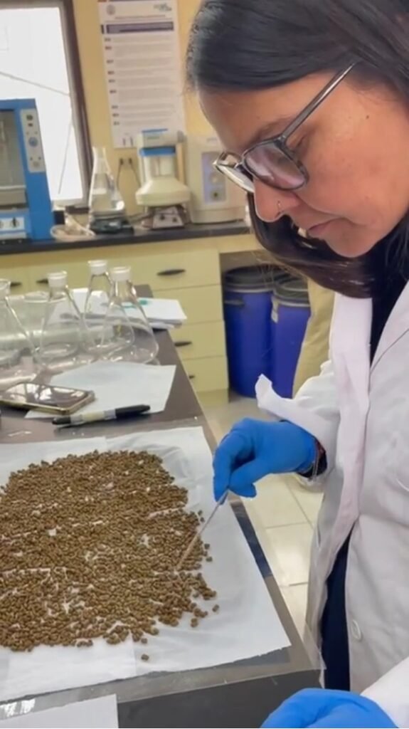 Dra. Katherine Alveal, investigadora de AquaPacífico.