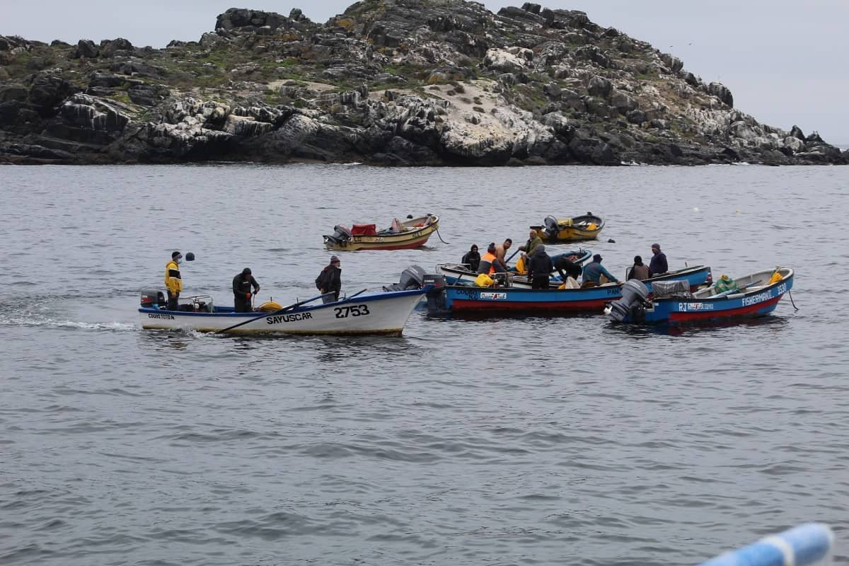 Indespa convoca a organizaciones del sector pesquero y acuícola a fondo de capacitación para gestión de proyectos, formalización tributaria, alfabetización digital y pasantías tecnológicas Caleta Toralillo Norte. Cortesía: Indespa.