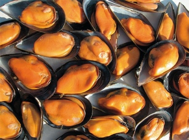 Choritos