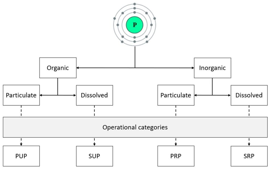 Terminology of phosphorus used in aquaculture and their correspondence to the different operational categories. PUP—Particulate unreactive phosphorus, SUP—soluble unreactive phosphorus, PRP—particulate reactive phosphorus, SRP—soluble reactive phosphorus. Source: Flo et al. (2025); Fishes 10, no. 8: 388.