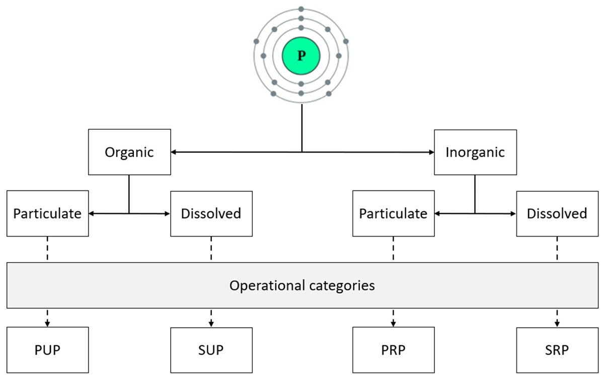 Phosphorus in salmon aquaculture: A comprehensive approach from nutrition to farming systems Terminología del fósforo utilizada en acuicultura y su correspondencia con las diferentes categorías operativas. PUP: fósforo no reactivo particulado, SUP: fósforo no reactivo soluble, PRP: fósforo reactivo particulado, SRP: fósforo reactivo soluble. Fuente: Flo et al. (2025); Fishes 10, no. 8: 388.