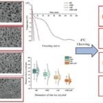 Resumen gráfico del estudio. Fuente: Liu et al. (2025); Food Chemistry, 493, 145818.