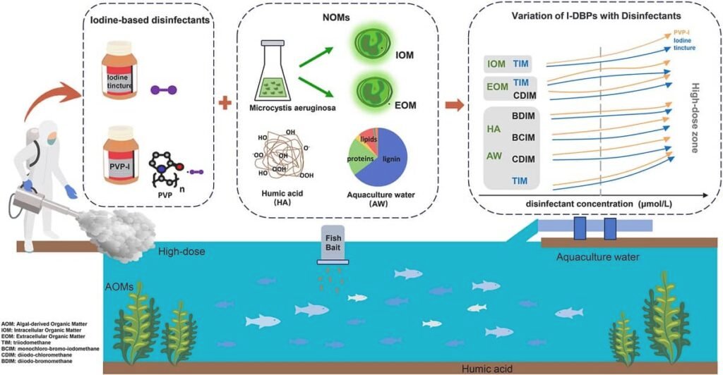 Resumen gráfico del estudio. Fuente: Wen et al. (2025); Chemosphere, 387, 144653.