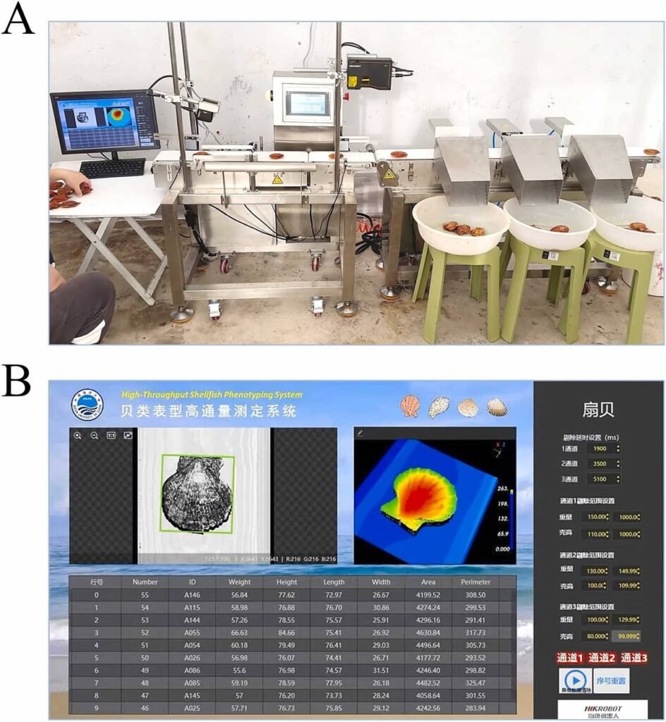 High-throughput bivalve phenotyping system (A) and intelligent management software (B). Source: Kong et al. (2025); Aquaculture Reports, 44, 103019.