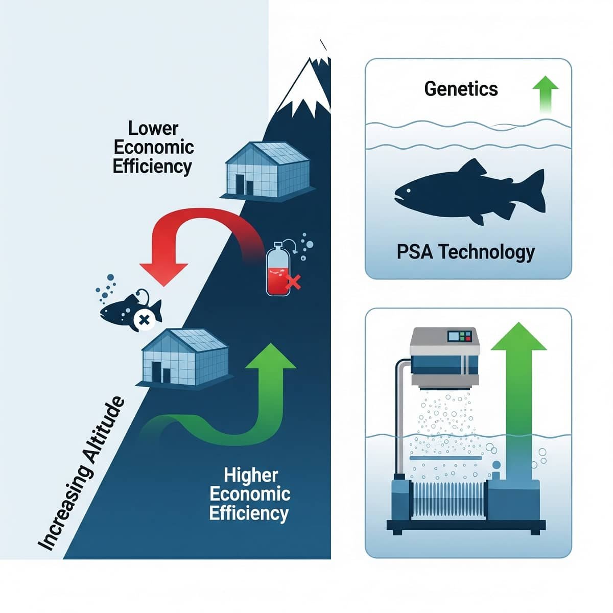 The efficiency of high-altitude trout farming: Which is more critical, dissolved oxygen or temperature? Esta infografía muestra cómo la eficiencia económica de las granjas de trucha disminuye a mayor altitud debido a la falta de oxígeno. La inversión en tecnología de oxigenación (PSA) demuestra ser una solución mucho más rentable para mejorar la productividad que enfocarse solo en la mejora genética. Elaborado por Gemini.