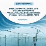 Uso responsable de antimicrobianos en langostinos: guía práctica Guía informativa de buenas prácticas en el uso de antimicrobianos para la crianza de langostinos (Penaeus vannamei) en el Perú.