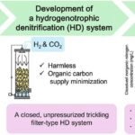 Desarrollan un sistema de desnitrificación con hidrógeno altamente eficiente y seguro para la acuicultura en recirculación Resumen gráfico. Fuente: Kamei et al. (2025); Journal of Environmental Management, 394, 127285.
