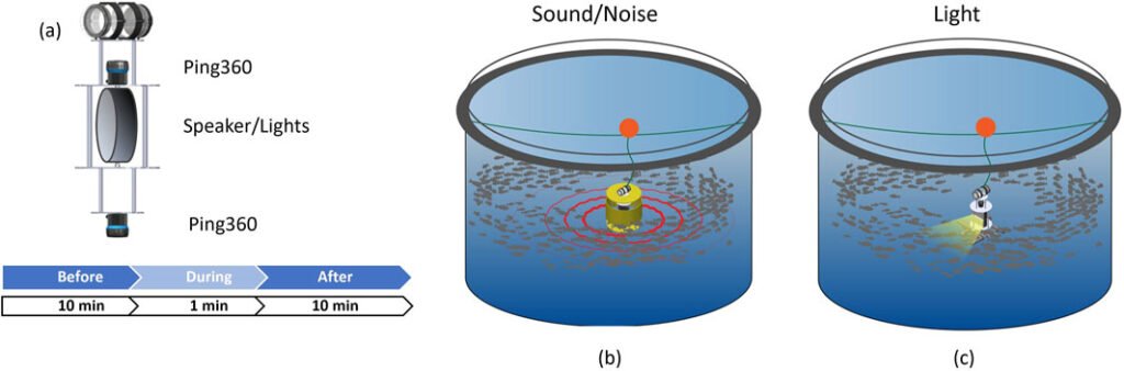 Experimental setup. Source: Zhang et al. (2025); Frontiers in Robotics and AI, 12, 1657567.