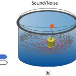 Diseño experimental. Fuente: Zhang et al. (2025); Frontiers in Robotics and AI, 12, 1657567.