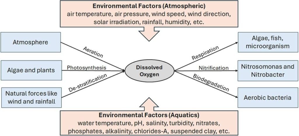 Diagrama conceptual que muestra cómo el OD (gris claro) se ve influenciado por factores explícitos (azul) e implícitos (naranja) en un sistema acuático. Fuente: Yu et al. (2026); Aquacultural Engineering, 112, 102634.