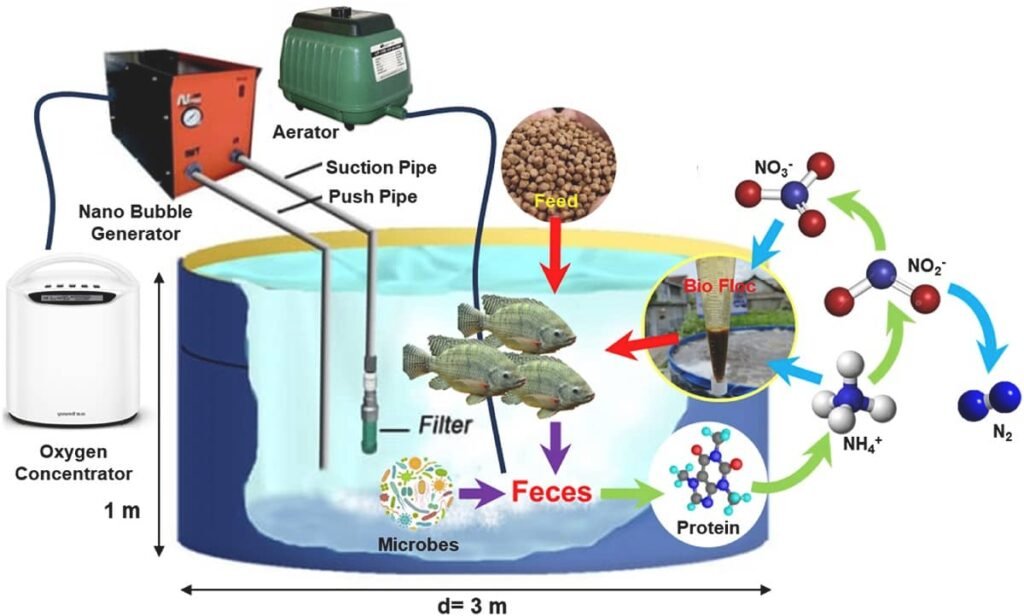 Design of pure nano-oxygen bubbles in the BFT. Source: Gymnastiar et al., (2025); Chemosphere, 384, 144522.