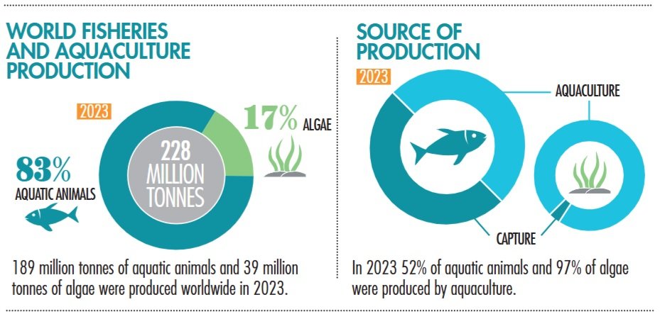 Global fisheries and aquaculture production in 2023, highlighting principal sources. Source: FAO. 2025. Fishery and Aquaculture Statistics – Yearbook 2023.