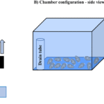 Configuración de prueba de depuración a escala piloto. Fuente: Lunda et al., (2025); PLoS One 20(10): e0334240.