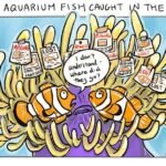 Caricatura de un pez payaso perdido. Imagen: Ivy Shih @ivyhish