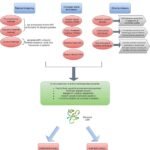 Representación esquemática del proceso de diseño racional de Péptidos Antimicrobianos. Fuente: Lohumi et al. (2025); Microbial Pathogenesis, 209, 108029.