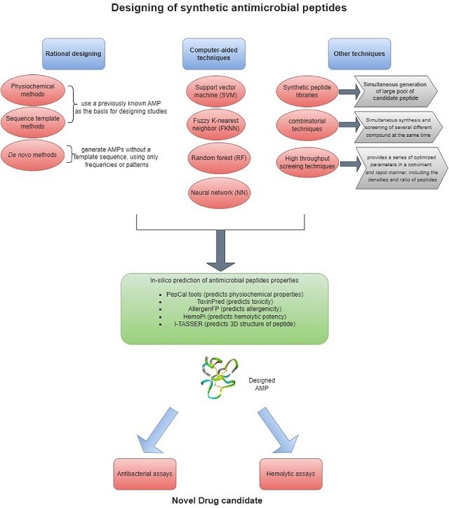 Schematic representation of the rational design process for AMPs. Source: Lohumi et al. (2025); Microbial Pathogenesis, 209, 108029.