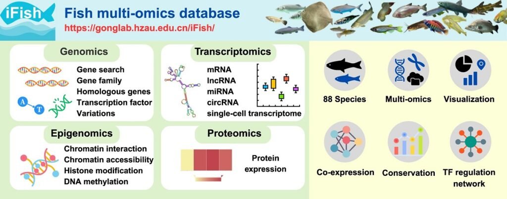 Base de datos "multi-ómicos" de peces. Fuente: Ruoyan et al. (2025); Nucleic Acids Research.