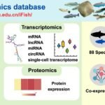Lanzan iFish: impulsando la genética y epigenética en acuicultura Base de datos "multi-ómicos" de peces. Fuente: Ruoyan et al. (2025); Nucleic Acids Research.