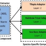 Arquitectura de red neuronal modular para el aprendizaje por transferencia entre especies, que muestra la separación entre componentes agnósticos y específicos de cada especie. Fuente: Alnemari et al. (2025); Aquacult Int 33, 564.