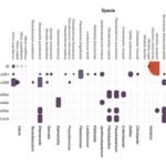 Cómo la secuenciación nanopore detecta patógenos en salmones criados en RAS Composición patógena del microbioma presente en RAS. Fuente: Valenzuela-Miranda et al. (2025); Fishes, 10(10), 496.