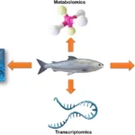 Nutrigenómica en peces: descifrando el código genético para una acuicultura más sostenible y nutritiva Diferentes técnicas ómicas empleadas en el sector pesquero y acuícola. Fuente: Iqbal et al. (2025); Blue Biotechnol. 2, 19.