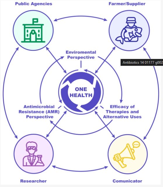 Actores relevantes de la hoja de ruta. Fuente: Farias et al. (2025); Antibiotics, 14(12), 1177.