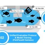 Descripción general del marco de identificación individual no invasivo basado en aprendizaje profundo para la evaluación de la actividad física: desde la adquisición de datos hasta la implementación del modelo. Fuente: Zhang et al. (2026); Aquaculture, 613, 743375.