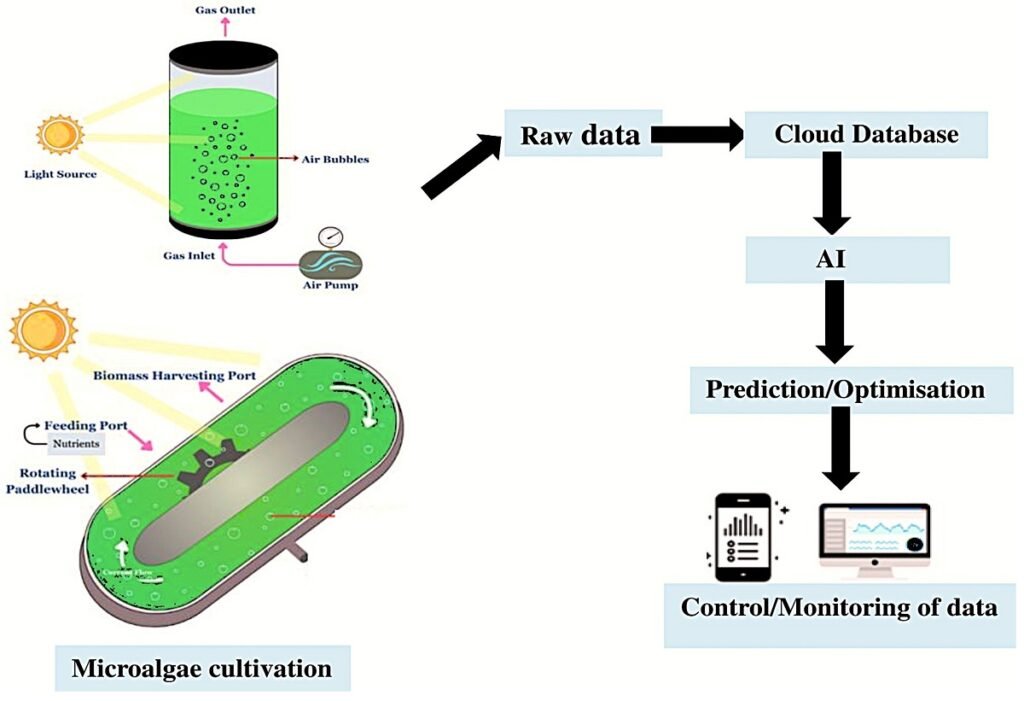 Diagrama de flujo sistemático de un sistema de cultivo de microalgas asistido por IA/IoT. Fuente: Rayamajhi et al. (2025); Processes, 13(12), 3764.