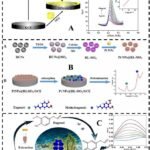 Detección electroquímica de anestésicos para la pesca. Fuente: Jia et al. (2025); Foods, 14(22), 3928.
